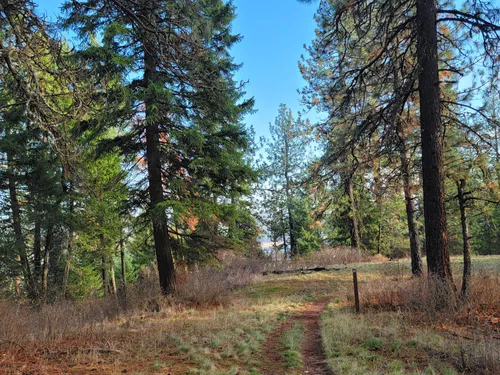 Best Hikes and Trails in McKenzie Conservation Area | AllTrails