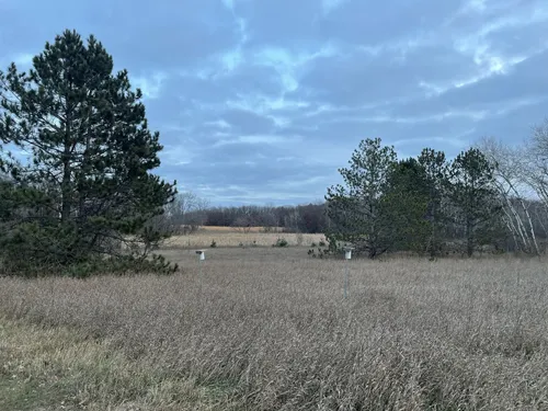 Best Hikes and Trails in Bald Eagle-Otter Lake Park | AllTrails