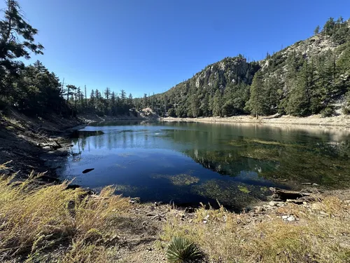 Crystal Lake Trail, California - 243 Reviews, Map | AllTrails
