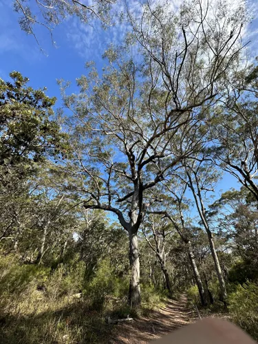 Best Hikes and Trails in North Stradbroke Island | AllTrails