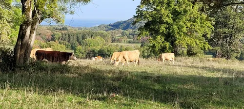 Best Hikes and Trails in Les TroisChâteaux AllTrails