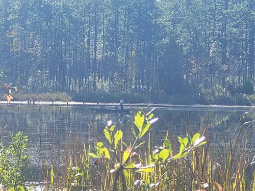 Best Hikes and Trails in Bear Lake Recreation Area | AllTrails