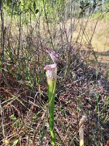 Best Hikes and Trails in Bear Lake Recreation Area | AllTrails