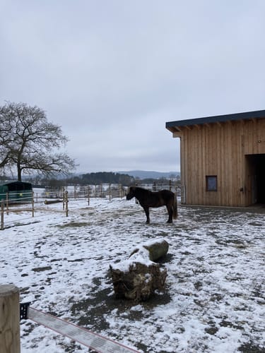 HeimatSpur Kleelandrunde