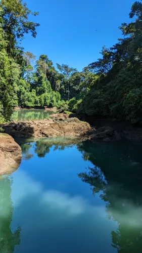 Drake Bay - Agujas River: 5 fotos - Puntarenas, Costa Rica