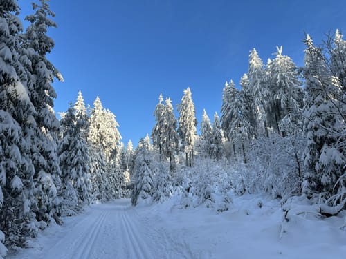 Taufsteinloipe
