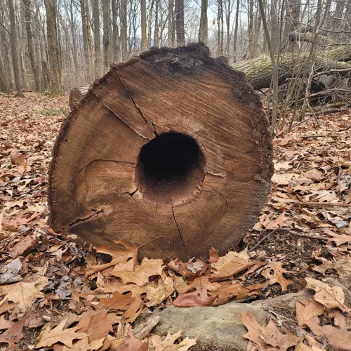 Best Hikes and Trails in Buttermilk Falls AllTrails