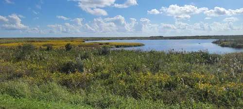 Best Hikes and Trails in TM Goodwin Waterfowl Management Area | AllTrails