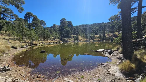 Best Lake Trails in Cofre de Perote National Park | AllTrails