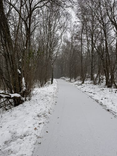 Bostalsee Rundwanderweg