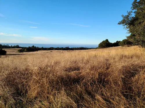 10 Best Hikes and Trails in Wilder - EyJidWNrZXQiOiJhc3NldHMuYWxsdHJhaWxzLmNvbSIsImtleSI6InVwbG9hZHMvcGhvdG8vaW1hZ2UvNjg2MDYzNTAvMjI2MGFmNWE5ZTc1ZDk5MjkwMzU1MWIyYWRkYzE1MzEuanBnIiwiZWRpdHMiOnsidG9Gb3JtYXQiOiJ3ZWJwIiwicmVzaXplIjp7IndpZHRoIjo1MDAsImhlaWdodCI6NTAwLCJmaXQiOiJpbnNpZGUifSwicm90YXRlIjpudWxsLCJqcGVnIjp7InRyZWxsaXNRdWFudGlzYXRpb24iOnRydWUsIm92ZXJzaG9vdERlcmluZ2luZyI6dHJ1ZSwib3B0aW1pc2VTY2FucyI6dHJ1ZSwicXVhbnRpc2F0aW9uVGFibGUiOjN9fX0=