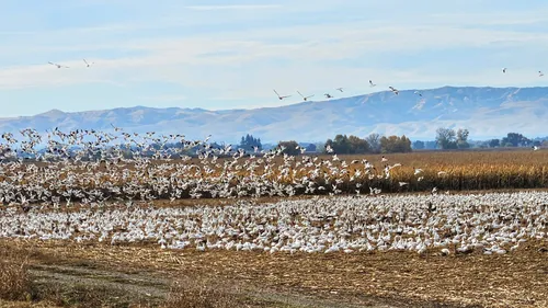 Best Hikes and Trails in San Joaquin River National Wildlife Refuge ...