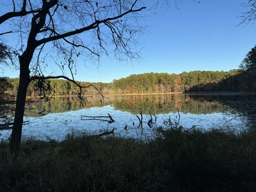 Best Hikes and Trails in Daingerfield State Park | AllTrails