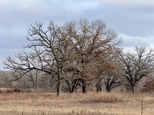 Best Hikes and Trails in Shakopee | AllTrails