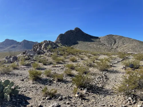 usda jornada experimental range