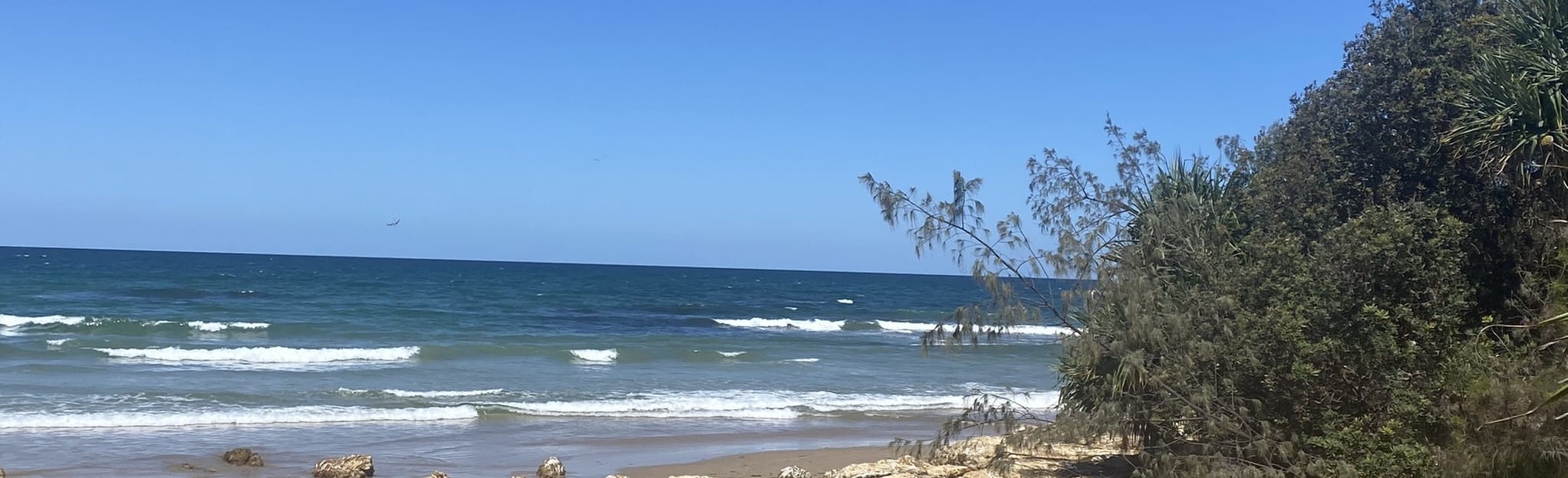 Yuragir Coastal Walk Brooms Head to Illaroo 6 Fotos New South Wales