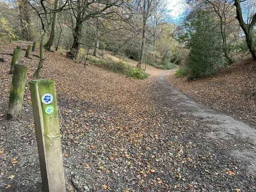 Best Hikes and Trails in Victoria Recreation Ground AllTrails