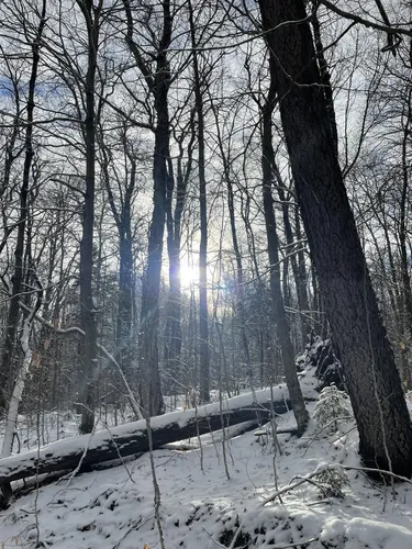 Best Camping Trails in Otter Lake | AllTrails