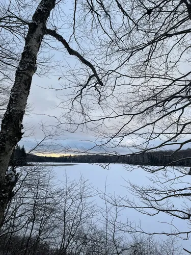 Best Camping Trails in Otter Lake | AllTrails