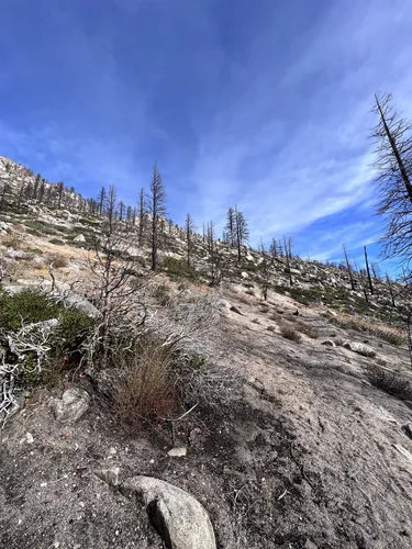 Best Hikes and Trails in Grover - EyJidWNrZXQiOiJhc3NldHMuYWxsdHJhaWxzLmNvbSIsImtleSI6InVwbG9hZHMvcGhvdG8vaW1hZ2UvNjg2NTczNzIvMmY0MDdmM2I0NzI1NDNlODI4ZjJmOGJkYjA4NGIxMmUuanBnIiwiZWRpdHMiOnsidG9Gb3JtYXQiOiJ3ZWJwIiwicmVzaXplIjp7IndpZHRoIjo1MDAsImhlaWdodCI6NTAwLCJmaXQiOiJpbnNpZGUifSwicm90YXRlIjpudWxsLCJqcGVnIjp7InRyZWxsaXNRdWFudGlzYXRpb24iOnRydWUsIm92ZXJzaG9vdERlcmluZ2luZyI6dHJ1ZSwib3B0aW1pc2VTY2FucyI6dHJ1ZSwicXVhbnRpc2F0aW9uVGFibGUiOjN9fX0=