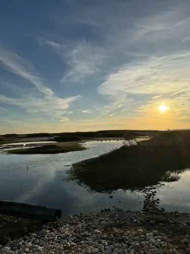 Best 10 Hiking Trails in Sea Rim State Park | AllTrails