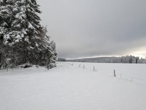 Rundloipe H6 Schwedenwall