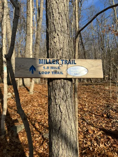 Best Hikes and Trails in Kettletown State Park | AllTrails