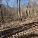 Scotts Gap Loop Trail, Kentucky - 940 Reviews, Map | AllTrails