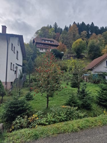 Vom Alisehof nach Wolfach