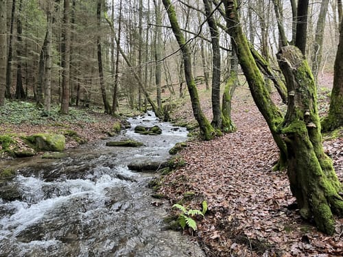 Monschau-Rurtal-Rundweg 35
