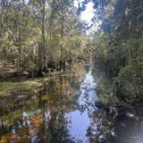 Pine Island East Loop Trail, Florida - 477 Reviews, Map | AllTrails