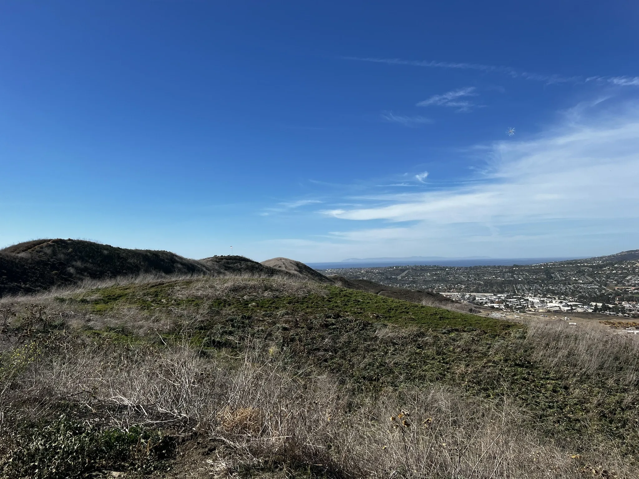 San Juan Capistrano equestrian trail with horses and open space near the coast | equestrian property South Orange County | Susan Chase relocation guide