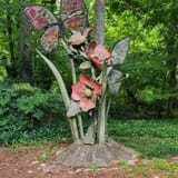 Edwin M. Griffin Nature Preserve, South Carolina - 371 Reviews, Map ...