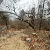 caesar creek bike trail