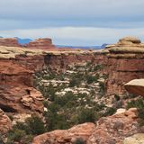 Druid Arch Trail, Utah - 946 Reviews, Map | AllTrails