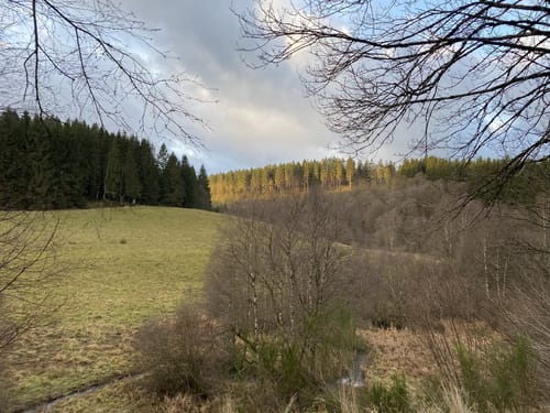 Von Hollerath zur Oleftalsperre