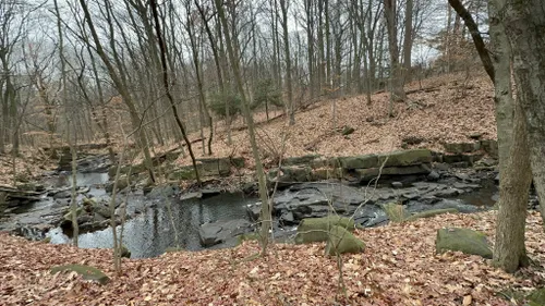 Best Hikes and Trails in Flat Rock Brook Nature Center | AllTrails