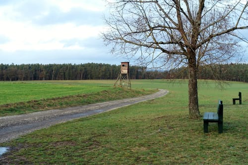 Rundwanderweg 1 Büchenbach
