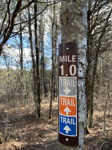 Jones mill best sale mountain bike trail