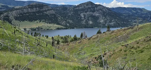 Best Forest Trails in Wolf Creek | AllTrails