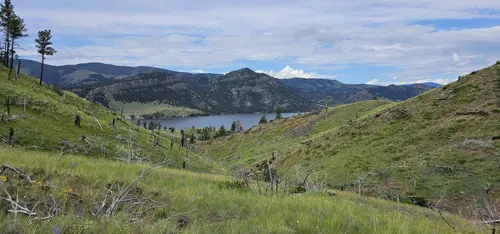 Best Forest Trails in Wolf Creek | AllTrails