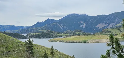 Best Forest Trails in Wolf Creek | AllTrails