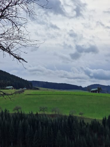 Panoramawanderung in Oberharmersbach