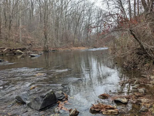 Escape to Serenity: Maryland's Palmer State Park Awaits