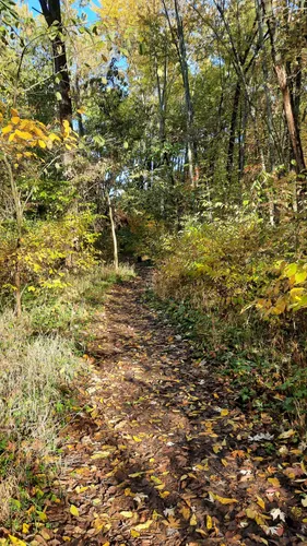 25+ Gahanna Woods State Nature Preserve