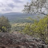 B'sorah Trail, North West, South Africa - 225 Reviews, Map | AllTrails