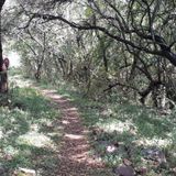 B'sorah Trail, North West, South Africa - 234 Reviews, Map | AllTrails