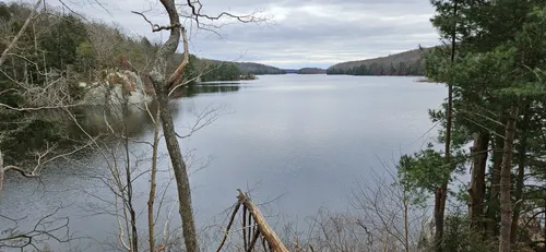 Best Hikes and Trails in Centennial Watershed State Forest AllTrails