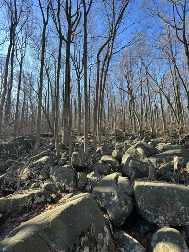 Best 10 Hiking Trails in State Game Lands Number 157 AllTrails