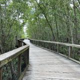 Gordon River Greenway, Florida - 903 Reviews, Map | AllTrails